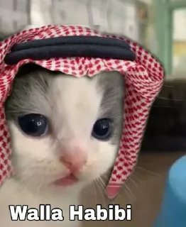 Video sticker 🥰 A I Z E N's pack by @Makima_UltraXBot