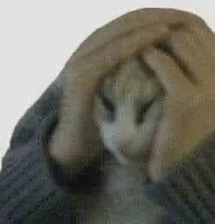 Video sticker 🐈 Cats 2 - @Caught_in_144p