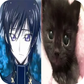 Video sticker 🐱 Lelouch [@reyzkkee ]