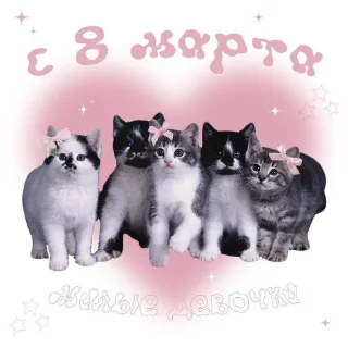 Telegram sticker 🐱 Мои