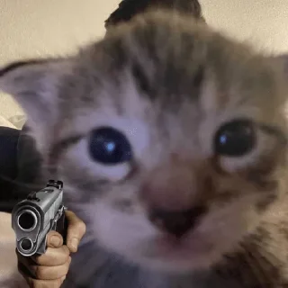 Telegram sticker 😡 Больше стиков тут: @stikery4