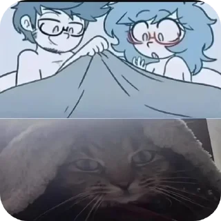 Telegram sticker 🐱 Gato 2.0