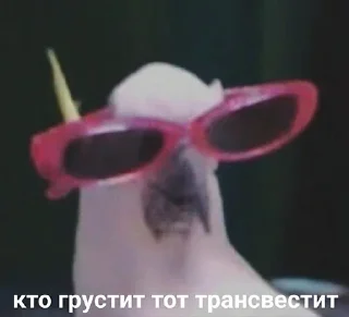 Sticker 😎 я пидорас 😎 by @fStikBot