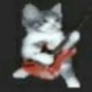 Video sticker 🐱 ,.