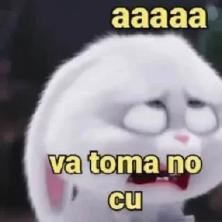 Video sticker 🌟 @ESCORPIANAXD CAPS :: @fStikBot