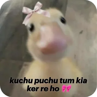 Video sticker 🐶 @x_shiva12