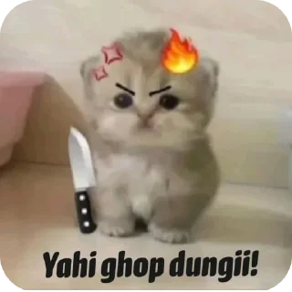 Телеграм стикер 🐱 @x_shiva12
