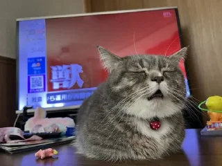 Telegram sticker 😪 WEEB HAT's sticker pack (@Mikasa_Ackrman_Bot)