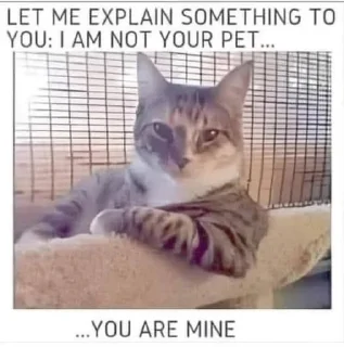 Telegram sticker 🤟 WEEB HAT's sticker pack (@Mikasa_Ackrman_Bot)