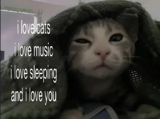 Telegram sticker 😉 WEEB HAT's sticker pack (@Mikasa_Ackrman_Bot)