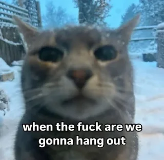 Sticker 🐱 WEEB HAT's sticker pack (@Mikasa_Ackrman_Bot)