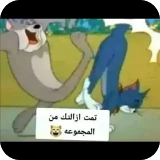 Video sticker 👍 @bo7_bo7
