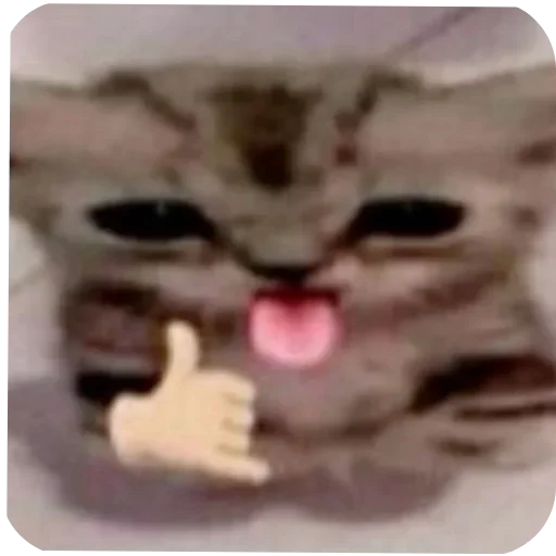 Telegram sticker 🤲 @tilaxuioi  ترتيل الذيبة