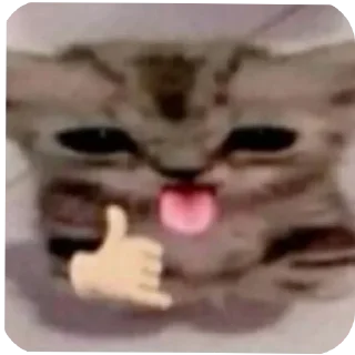 Video sticker 🤲 @tilaxuioi  ترتيل الذيبة