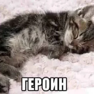 Sticker 🥰 для настоящих мужиков :: @fStikBot