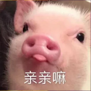 Sticker 😚 搞笑合集 @SamLemonTree