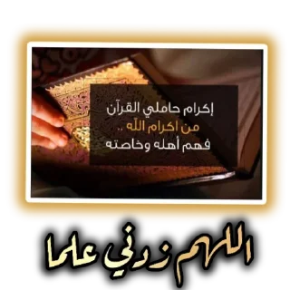 Video sticker 👍 mktb