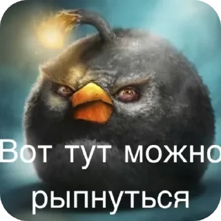 Telegram sticker 🐦 Ебать копать @Stikerhi_bot