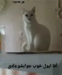 Video sticker 👍 @Estickrs 🇩🇪👉 @Berliner_platz_A2