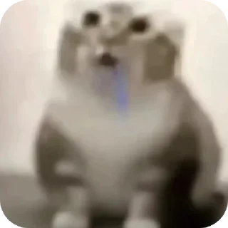 Video sticker 🌯 Хуйня инвалида Клоны
