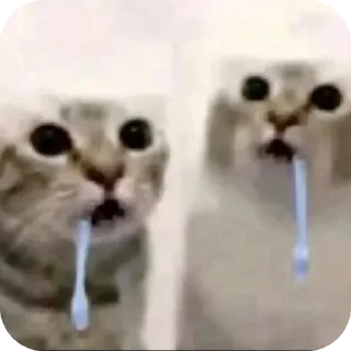 Video sticker 🌯 Хуйня инвалида Клоны