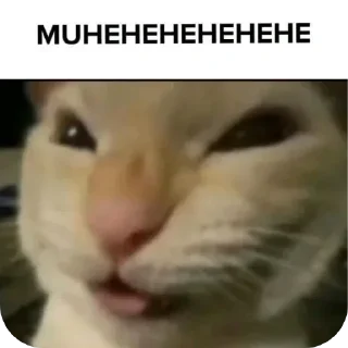 Telegram sticker 🌯 Хуйня инвалида Клоны