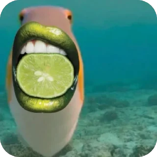 Telegram sticker 🫥 Mine