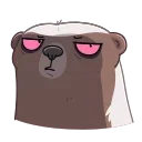 Video sticker 😢 Honey Badger