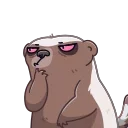 Video sticker 🤔 Honey Badger