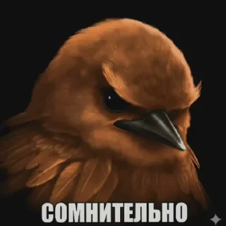 Telegram sticker 😄 Птички