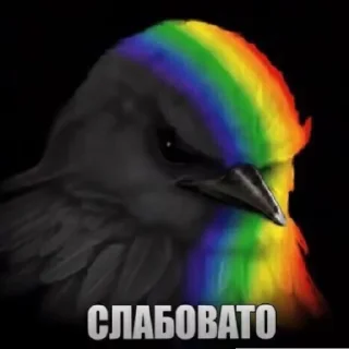 Telegram sticker 😄 Птички