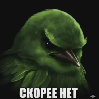 Video sticker 😄 Птички