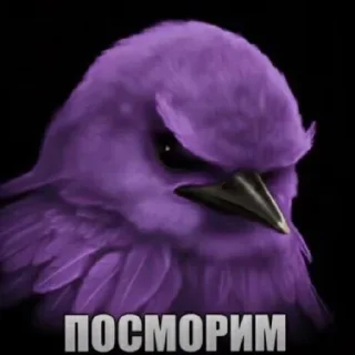 Telegram sticker 😄 Птички