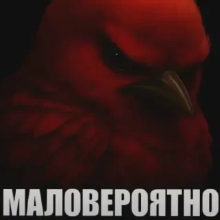 Video sticker 😄 Птички