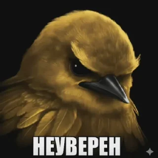 Video sticker 😄 Птички