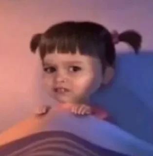 Sticker 🤨 Ryan's domain