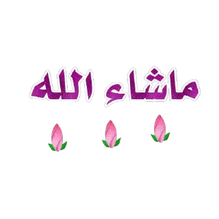 Video sticker 🌸 amila✂️🇲🇦🇲🇦