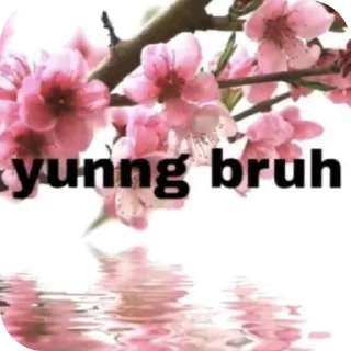 Sticker 🌸 @foureveryungg