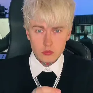 Video sticker 🧐 evtushenkoНЯ :: @fStikBot