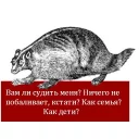Telegram sticker 😤 O'Reilly bookshelf memes