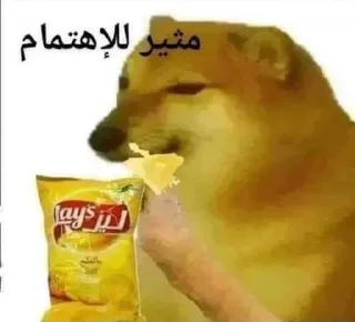 Telegram stiker 🗿 Yasine 😑💔 @YAS00201