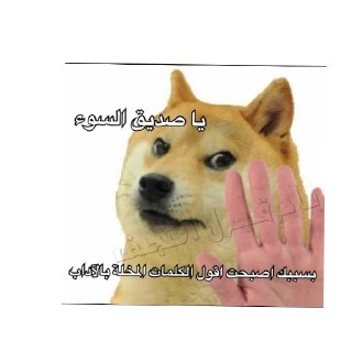 Video sticker 👍 السَلَف بوسنيده