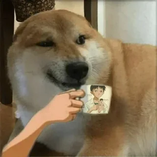 Video sticker 🌟 赤い目's