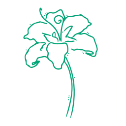 Sticker 🌺 Random p.5 @kotletovvemoji