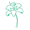 Video sticker 🌺 Random p.5 @kotlet...