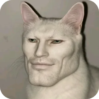 Telegram sticker 🐱 haigitler