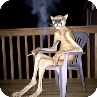 Telegram sticker 🪑 haigitler