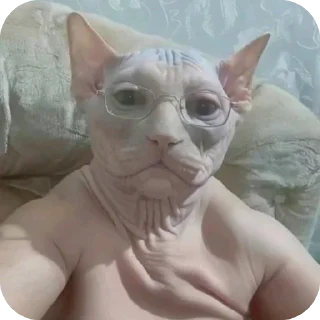 Telegram sticker 👍 haigitler