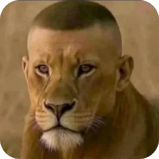 Telegram sticker 🤲 haigitler