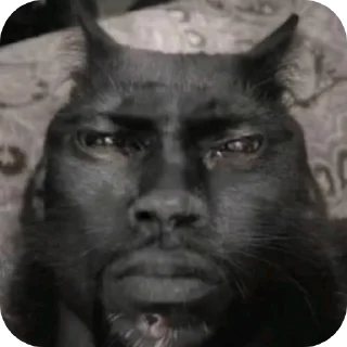 Telegram sticker 🧔 haigitler